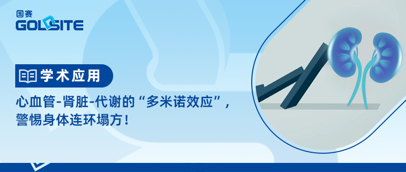 心血管-腎臟-代謝的“多米諾效應”，警惕身體連環(huán)塌方！